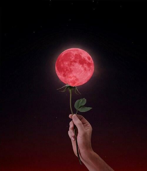 ROSY MOON